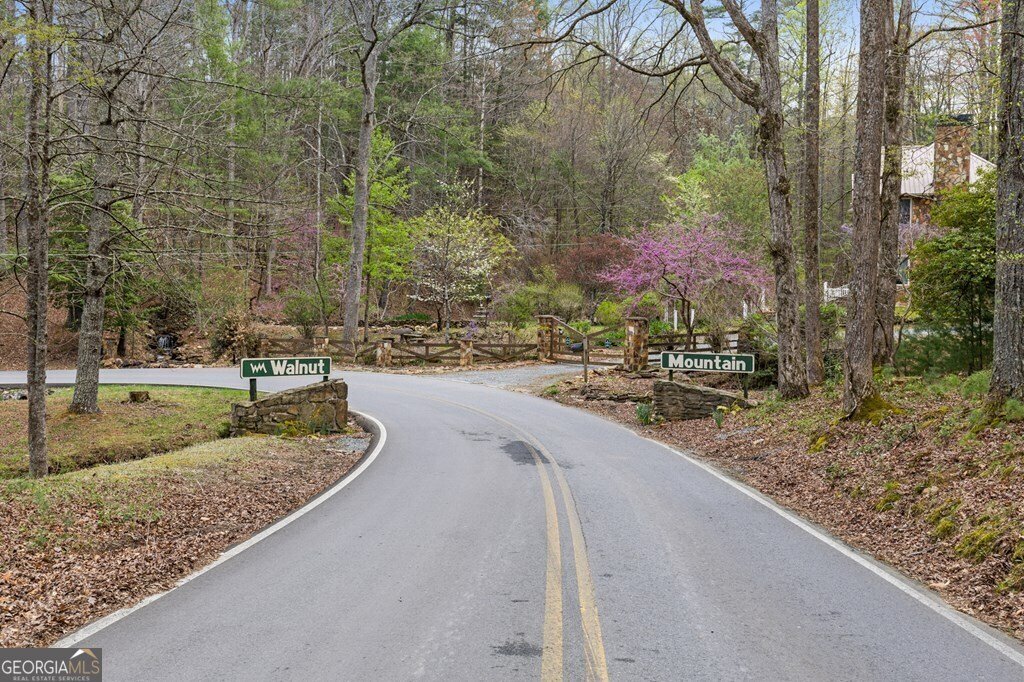 133 Pine Ridge Road Ellijay - 47