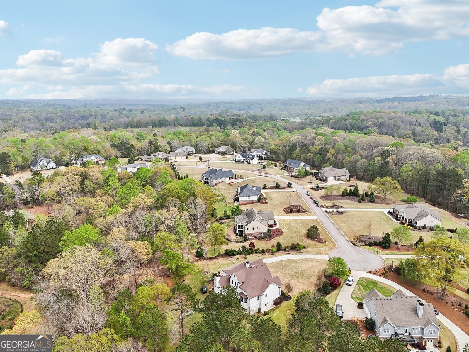 1438 Old Collins Road Hoschton - 61