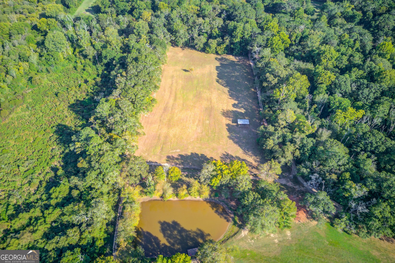 1438 Old Collins Road Hoschton - 70