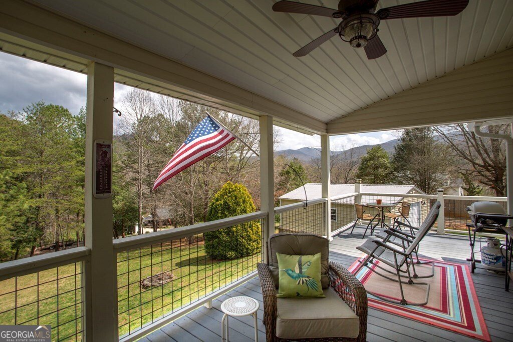 3601 Swallows Creek Road Hiawassee - 29