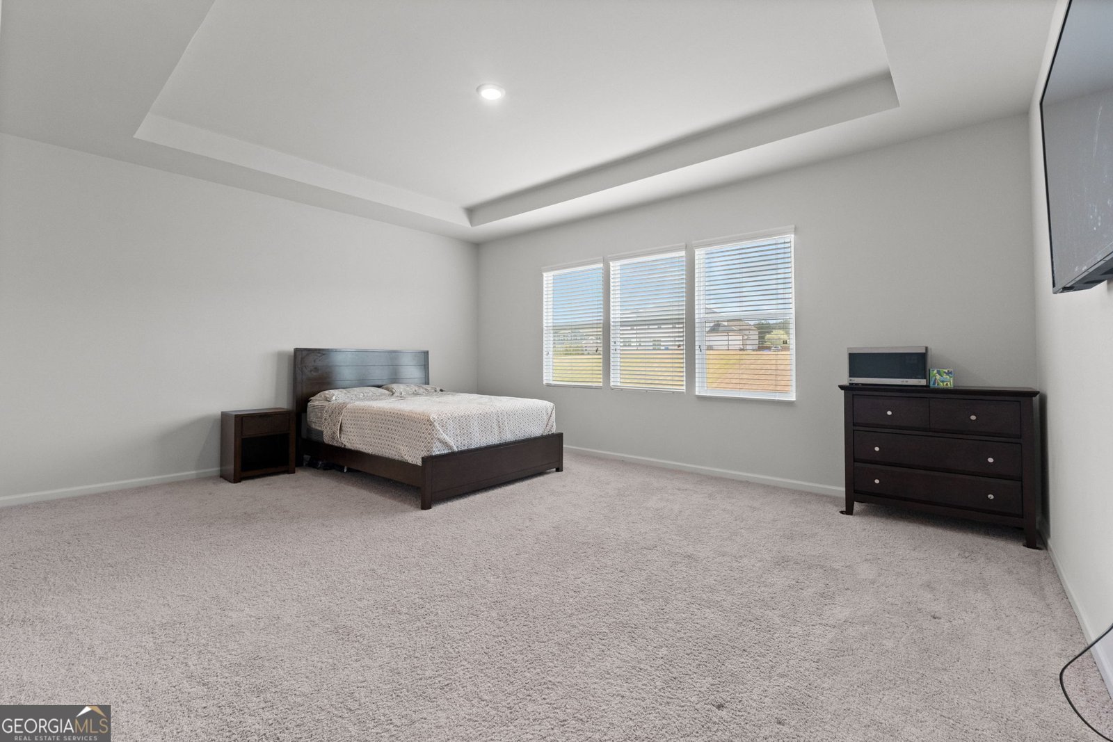 133 Bastian Road McDonough - 33