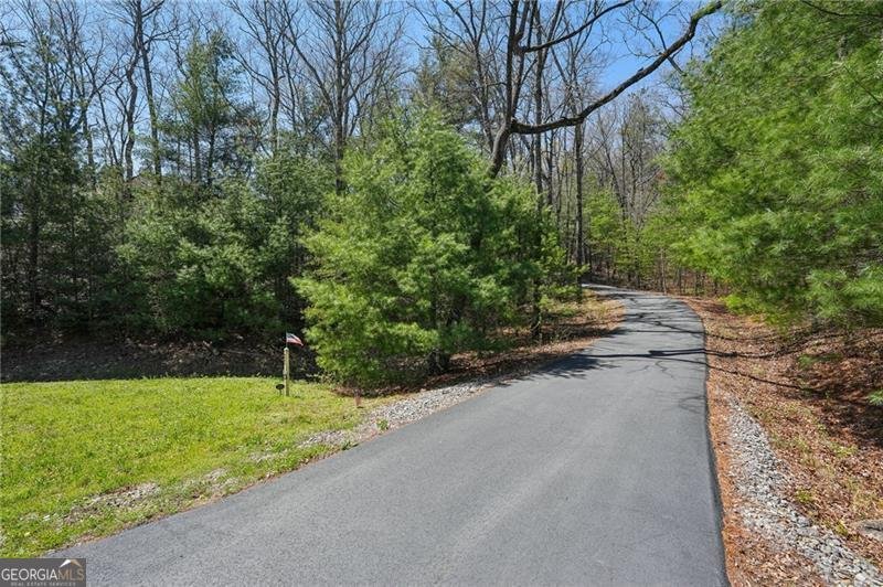 140 Robert Drive Ellijay - 33