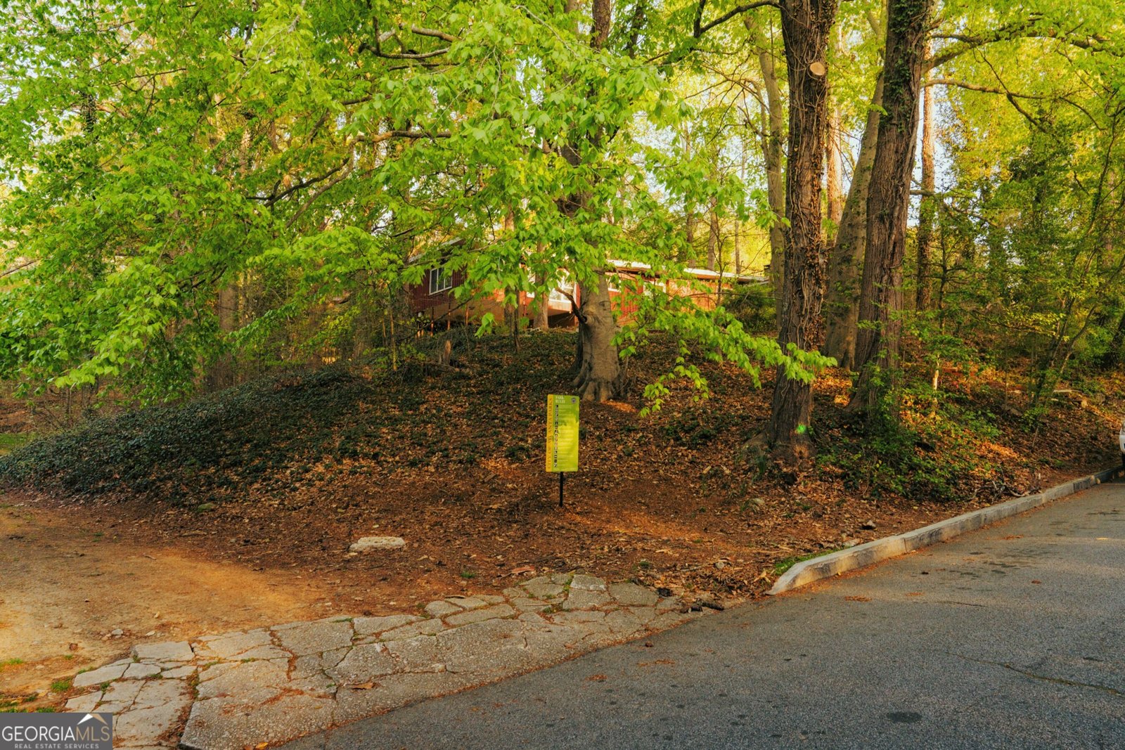 1919 Wellbourne Drive Atlanta - 29