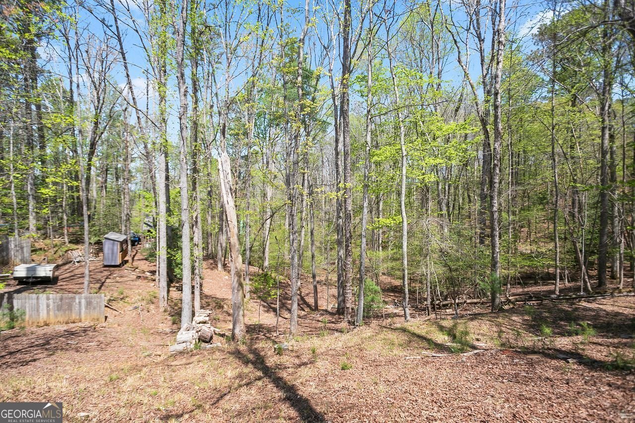 1466 NEWPORT Drive Ellijay - 8