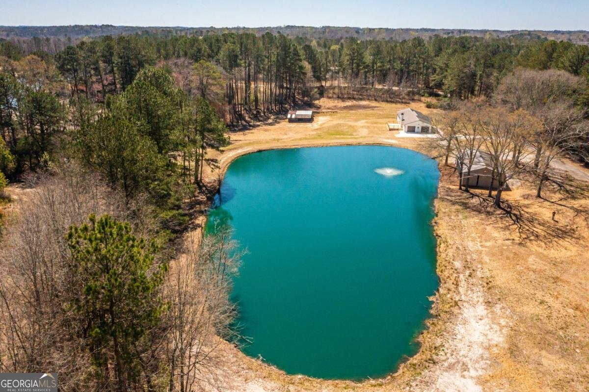 96 Sam Alexander Road Douglasville - 20
