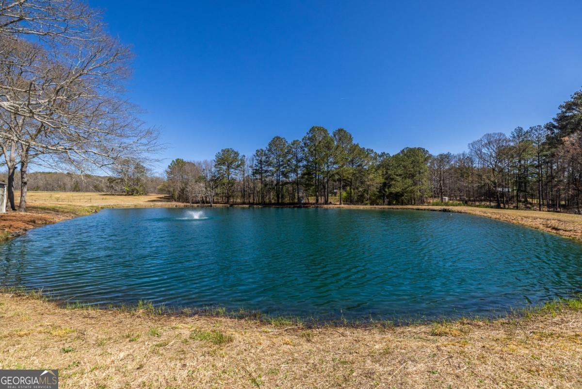 96 Sam Alexander Road Douglasville - 23