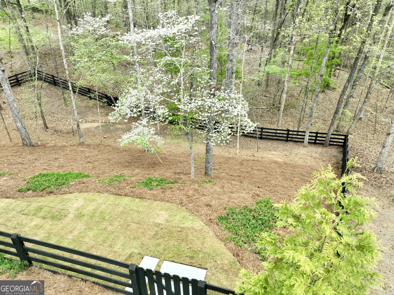 305 Red Gate Lane Canton - 31