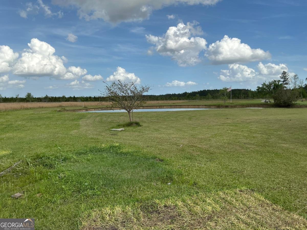 6362 Hwy 121 Surrency - 3