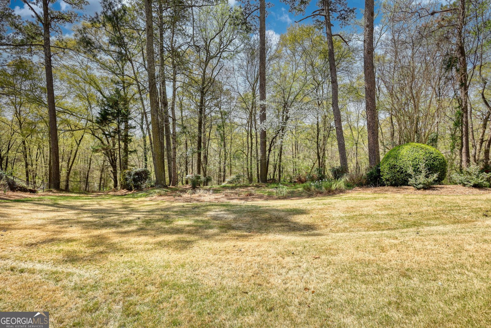 4814 Riveredge Cove Snellville - 45