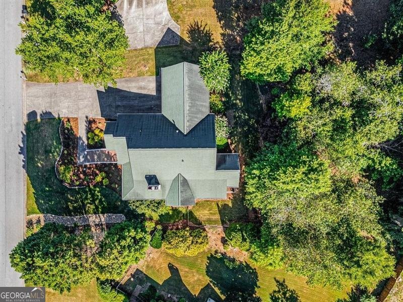 250 Blackberry Lane Douglasville - 46