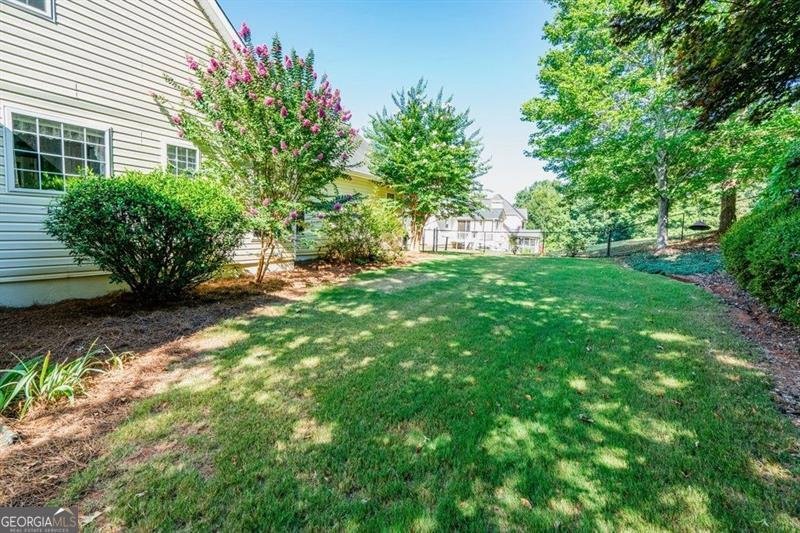 250 Blackberry Lane Douglasville - 47