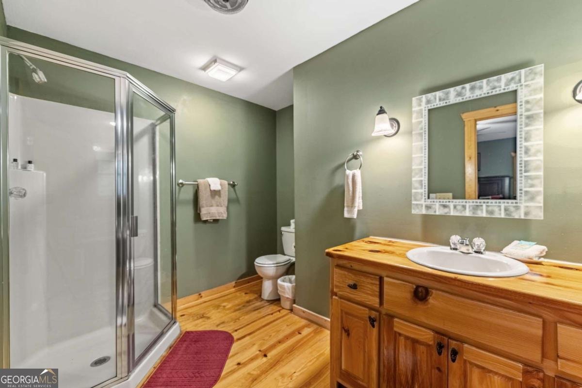 767 River Ridge Road Blue Ridge - 41