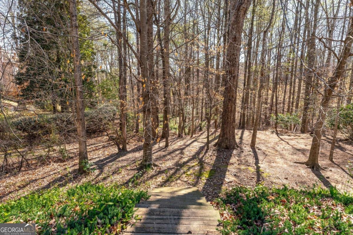 2405 Millwater Crossing Dacula - 59
