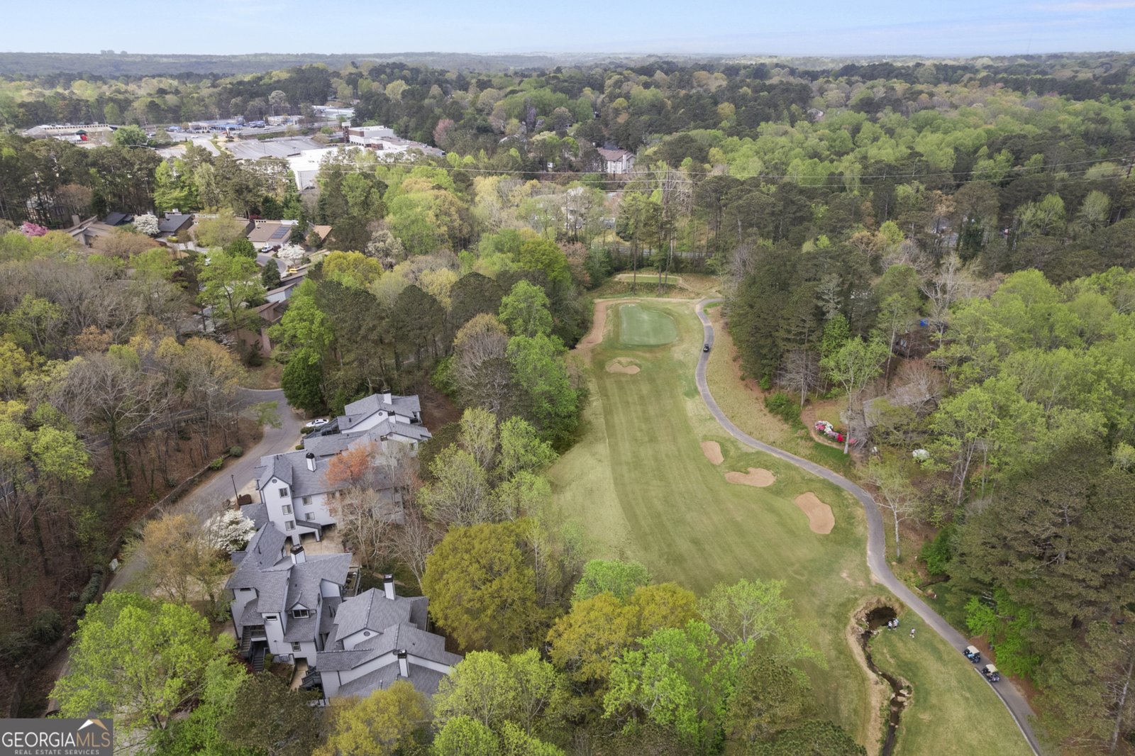 8207 Fairview Bluff Johns Creek - 24