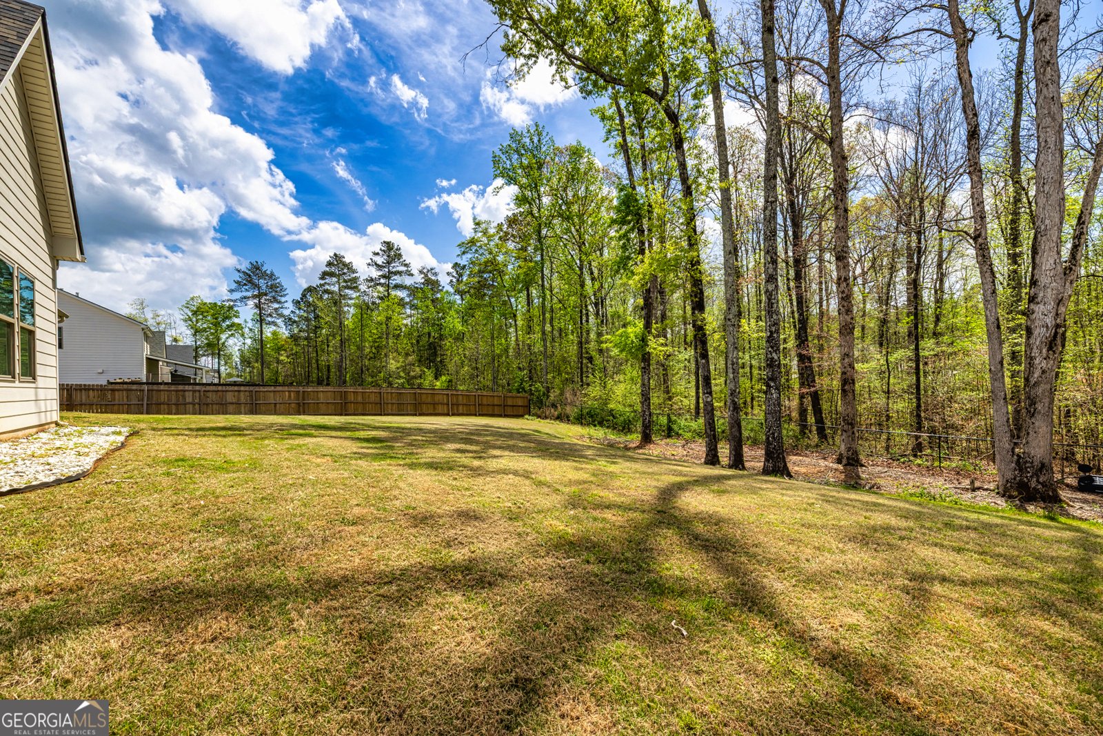 170 Greyfairs Avenue Senoia - 30