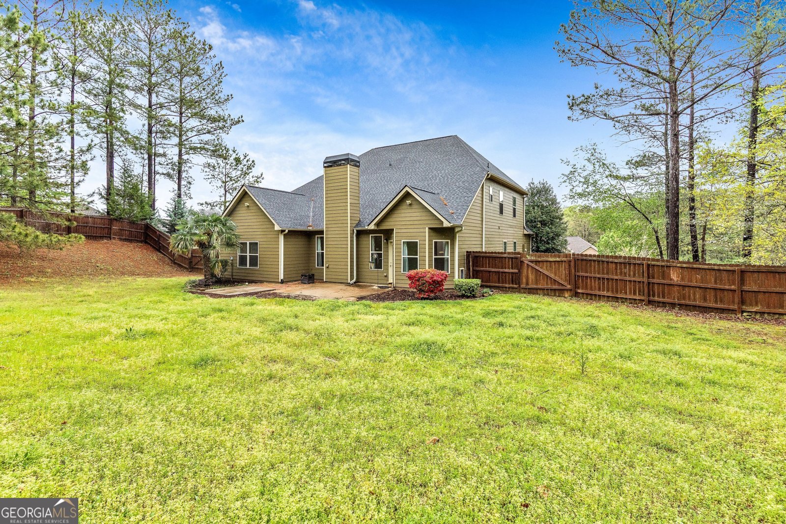 162 Blossom Lane Newnan - 1