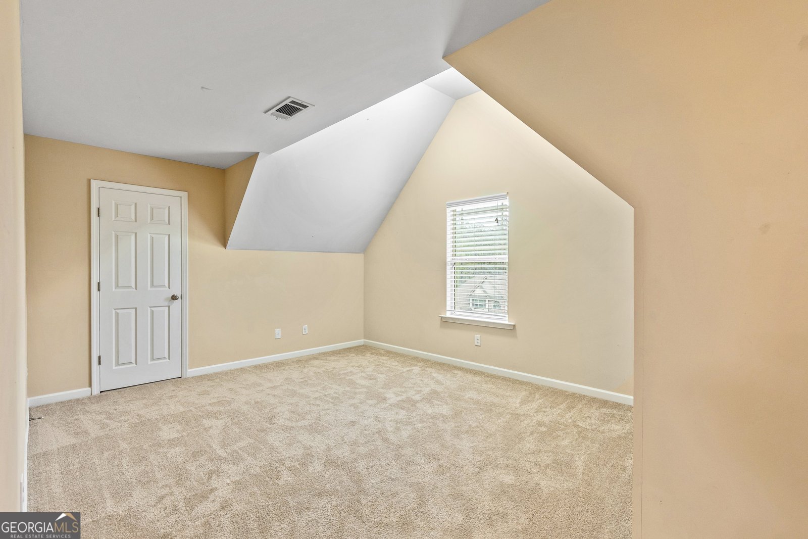 162 Blossom Lane Newnan - 32