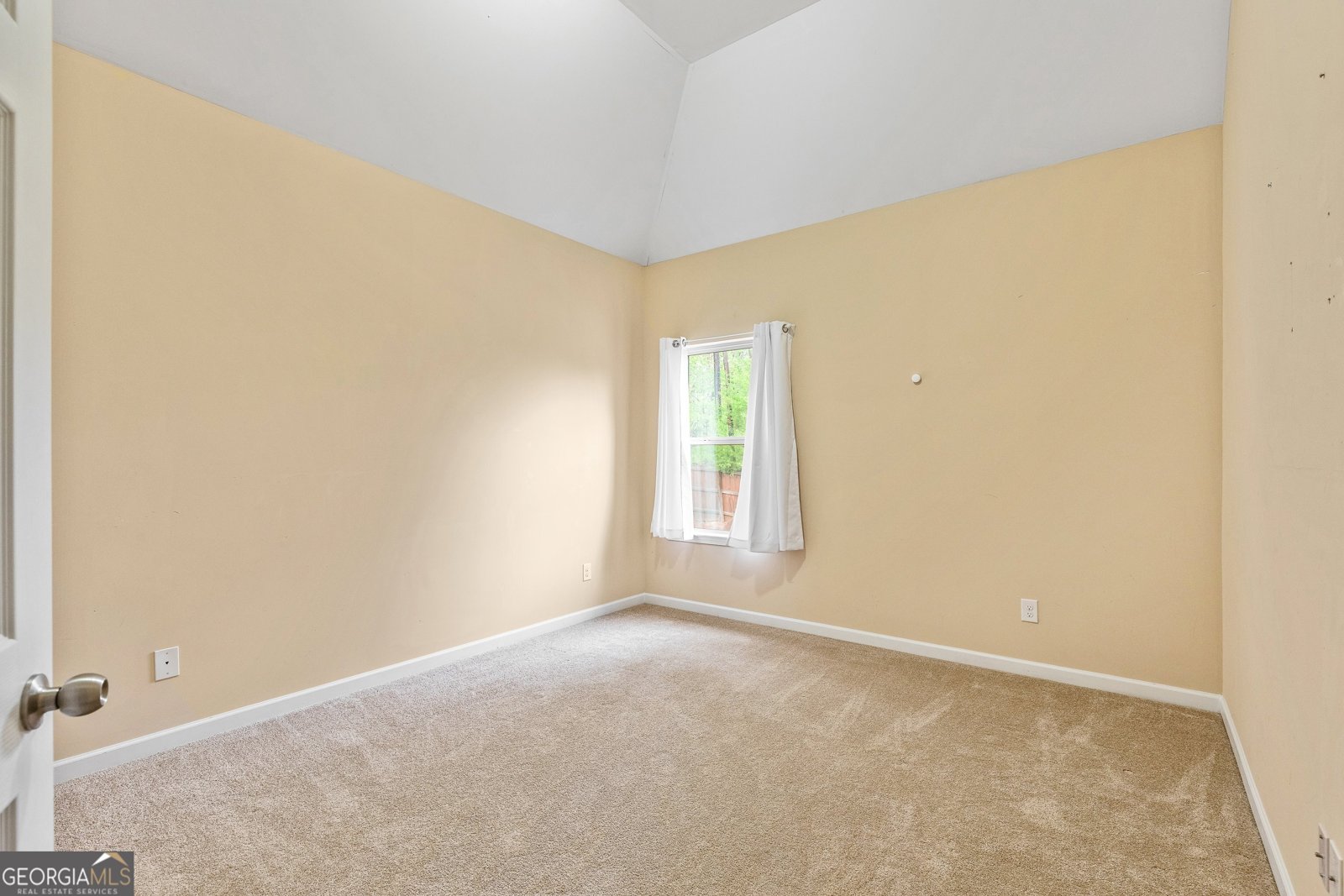 162 Blossom Lane Newnan - 33