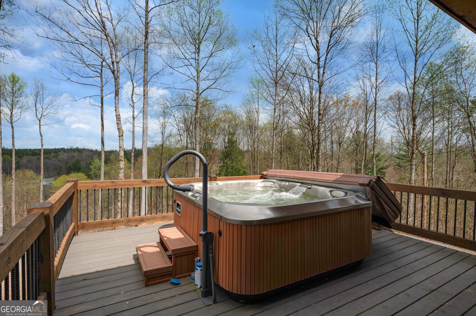 136 Pack Creek Road Blue Ridge - 2