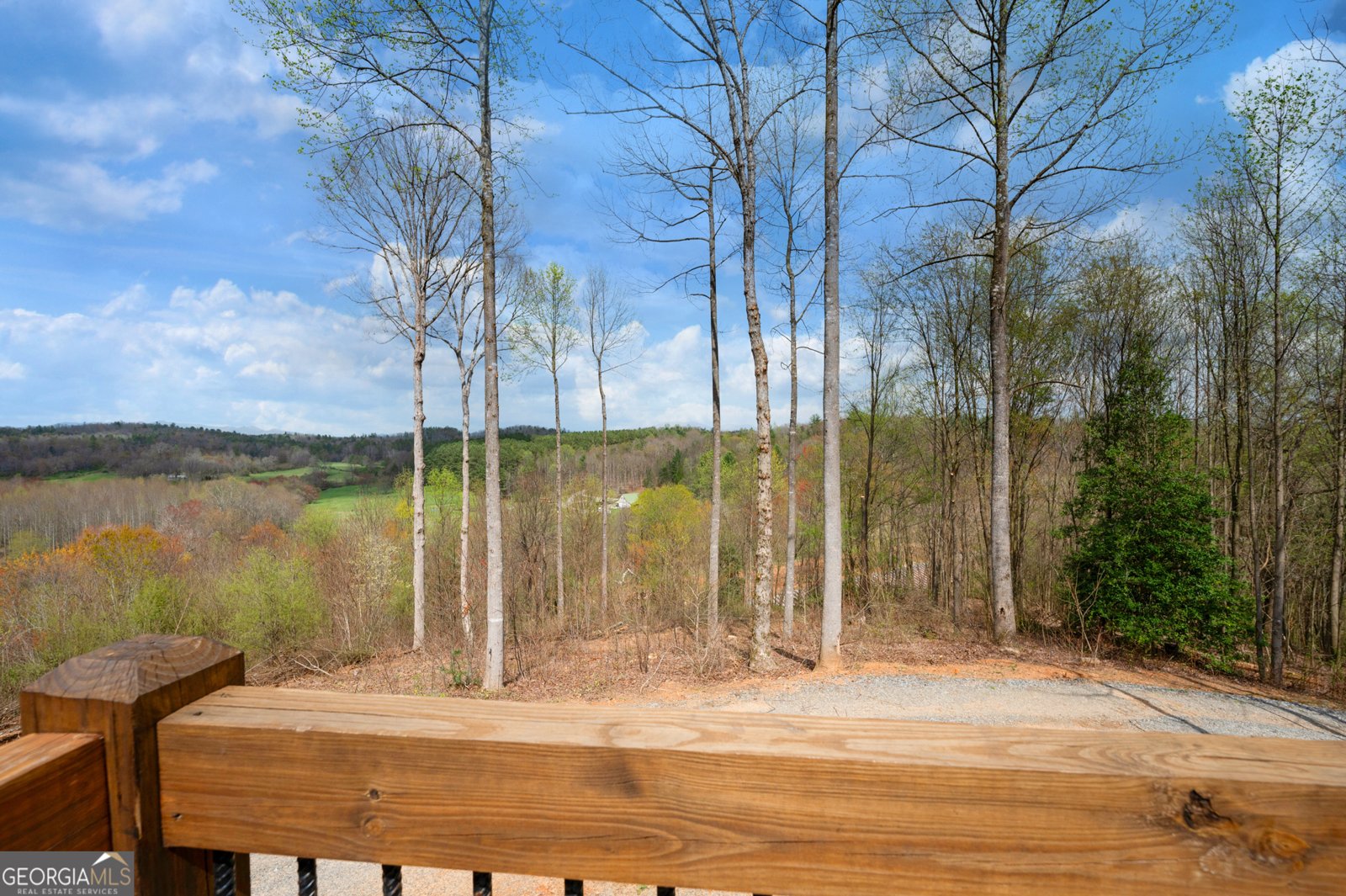 136 Pack Creek Road Blue Ridge - 25