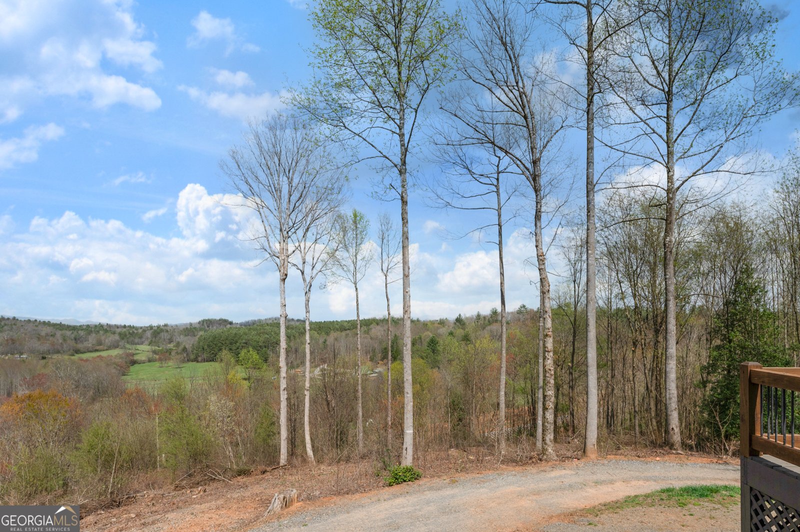 136 Pack Creek Road Blue Ridge - 27