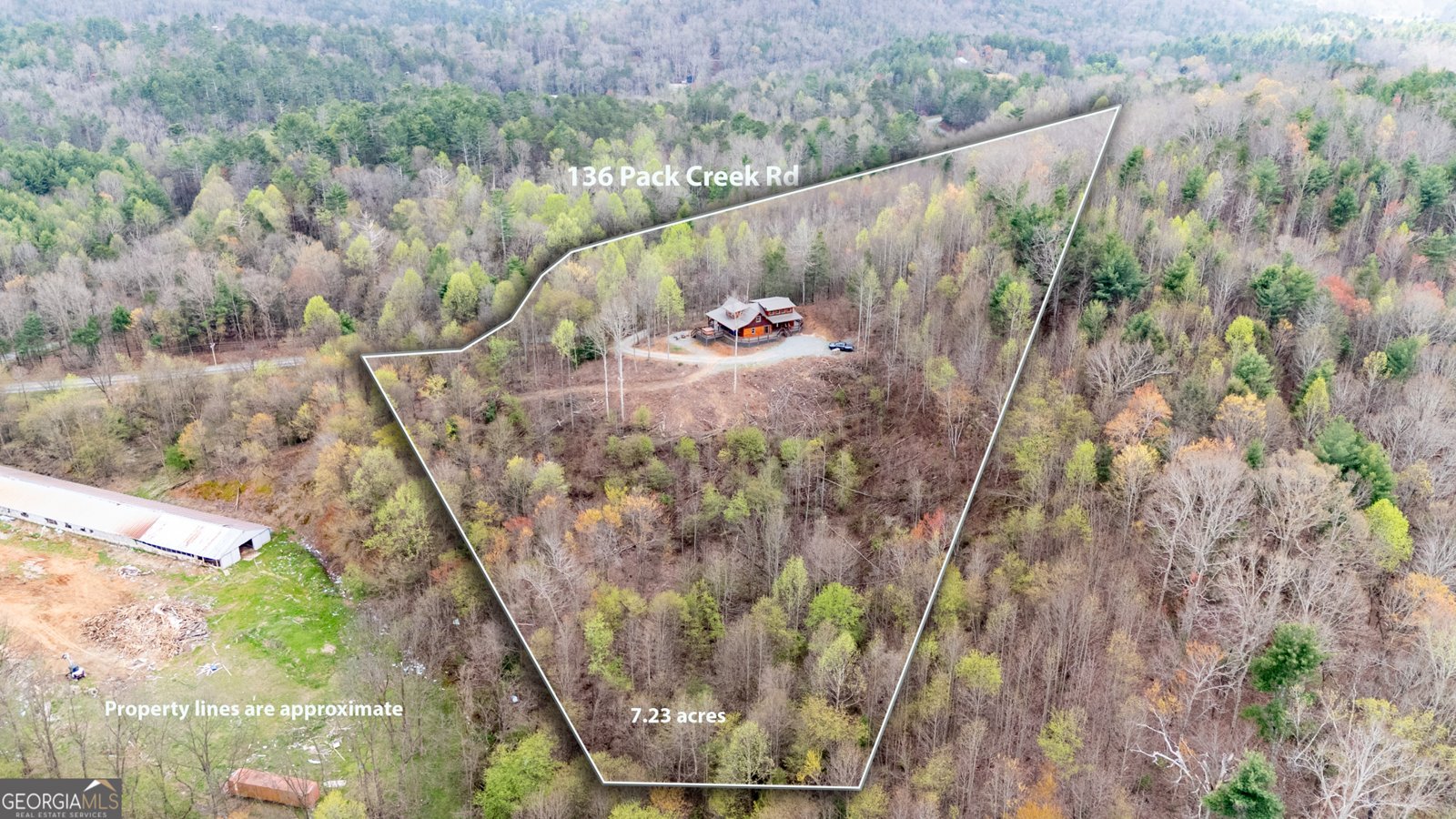 136 Pack Creek Road Blue Ridge - 3