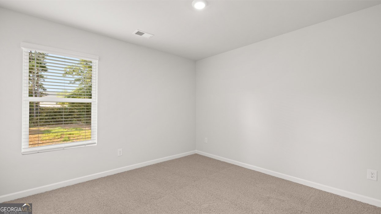 260 Lauristen Way Newnan - 12