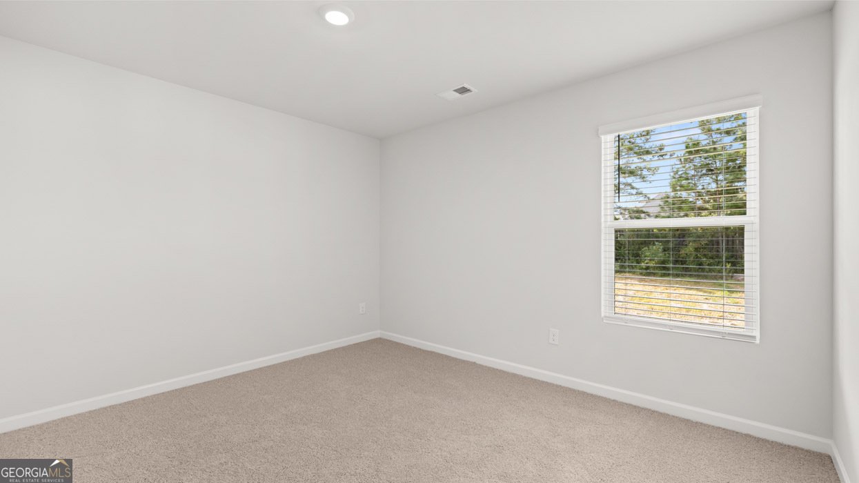 260 Lauristen Way Newnan - 30