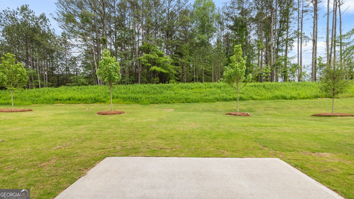 264 Lauristen Way Newnan - 33