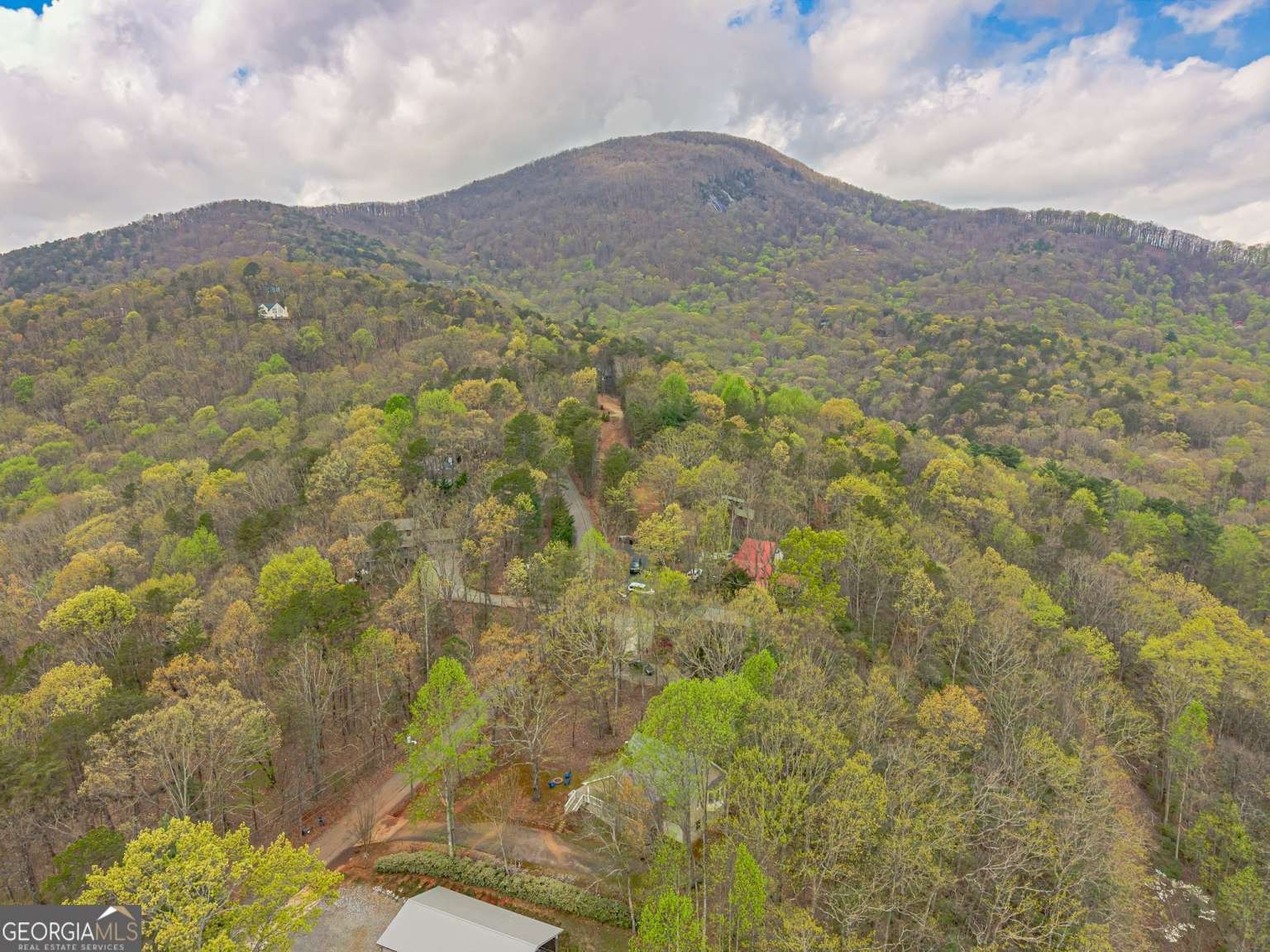 372 Laurel Ridge Road Cleveland - 38