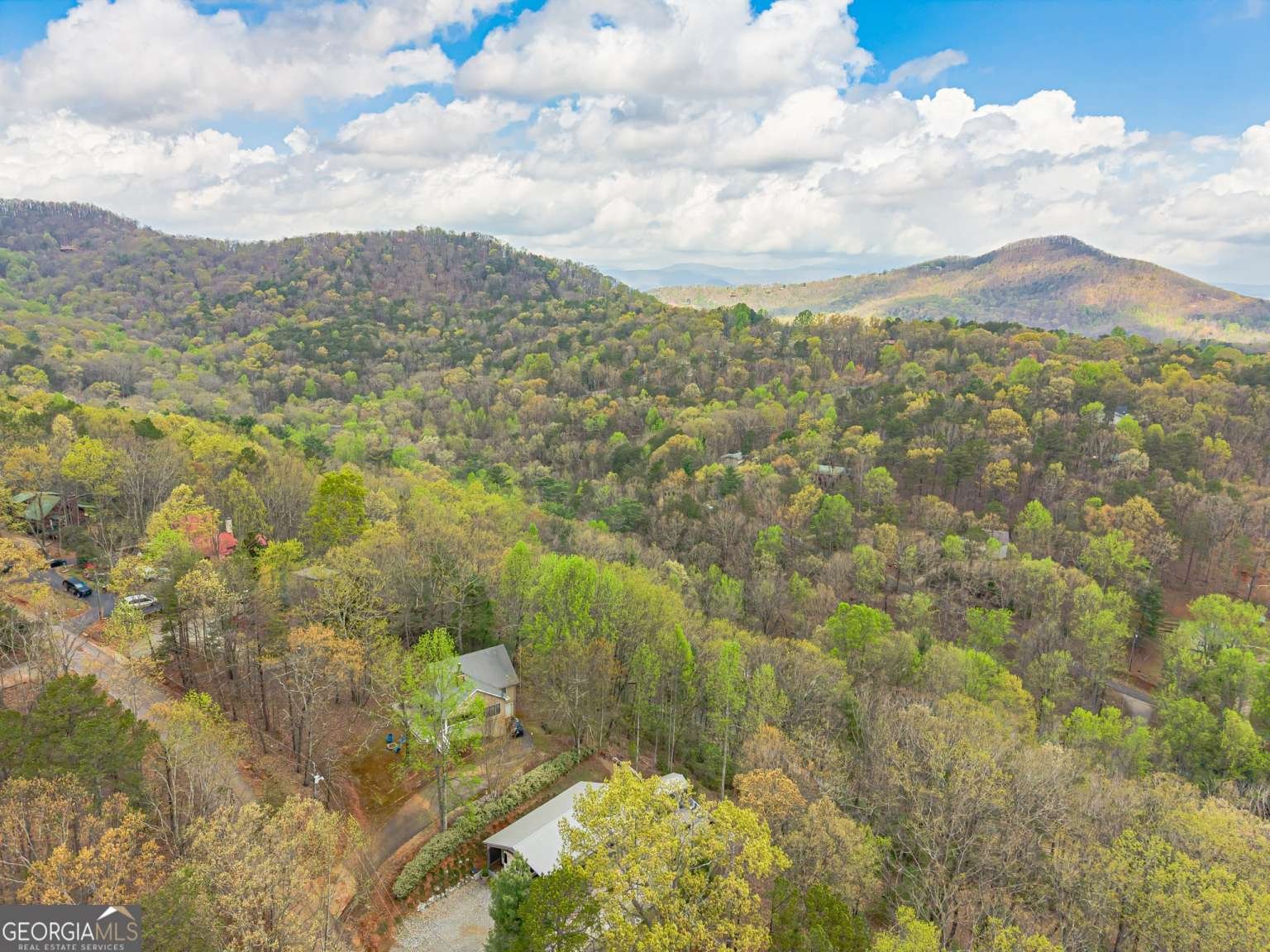 372 Laurel Ridge Road Cleveland - 39