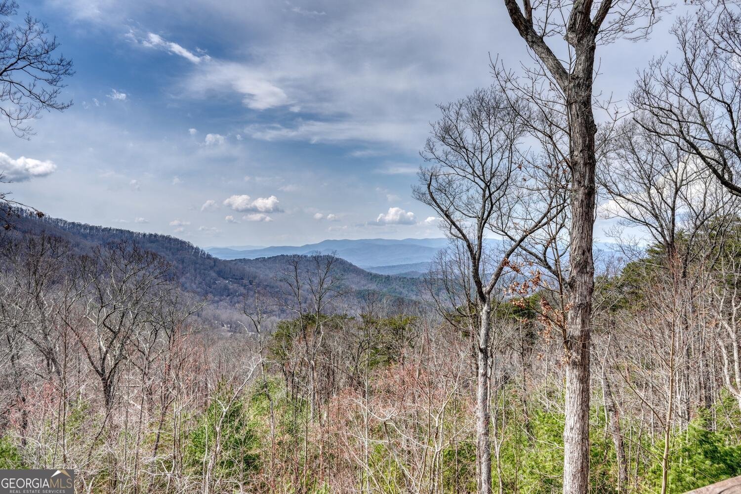 1329 Grandeur Drive Blue Ridge - 2