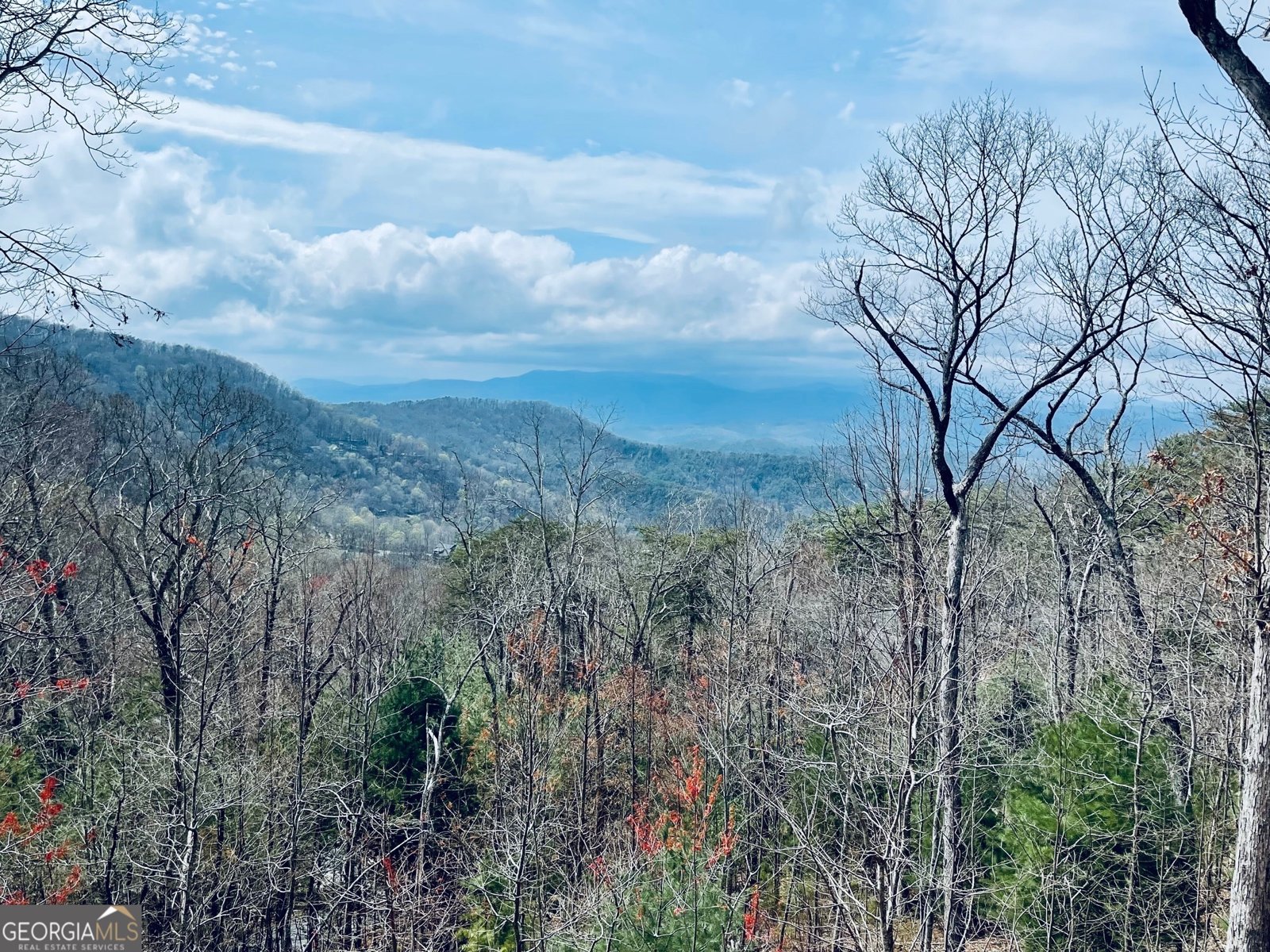 1329 Grandeur Drive Blue Ridge - 5