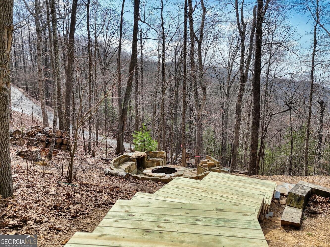 1329 Grandeur Drive Blue Ridge - 54