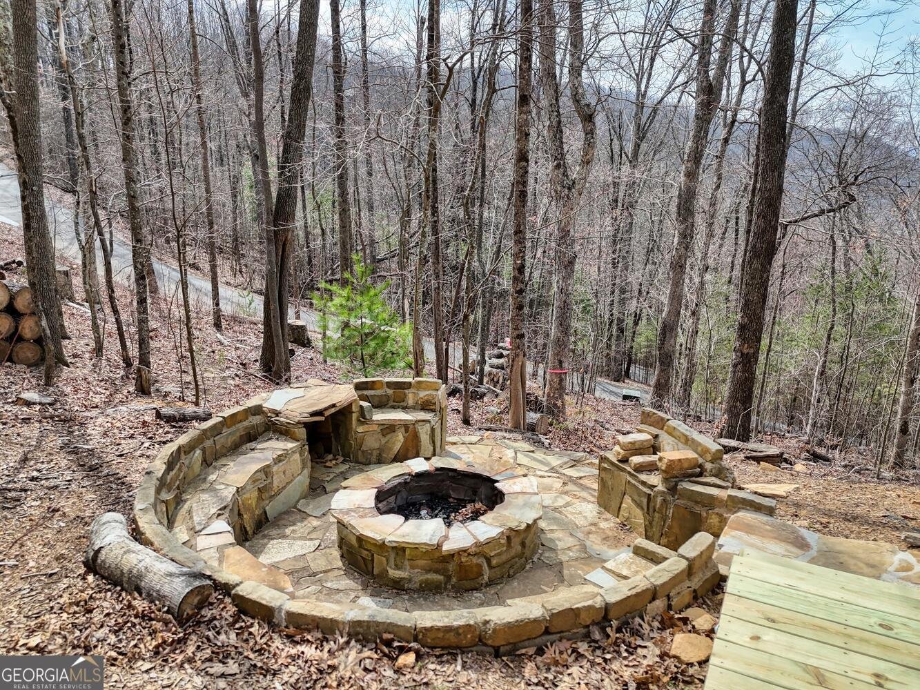 1329 Grandeur Drive Blue Ridge - 55