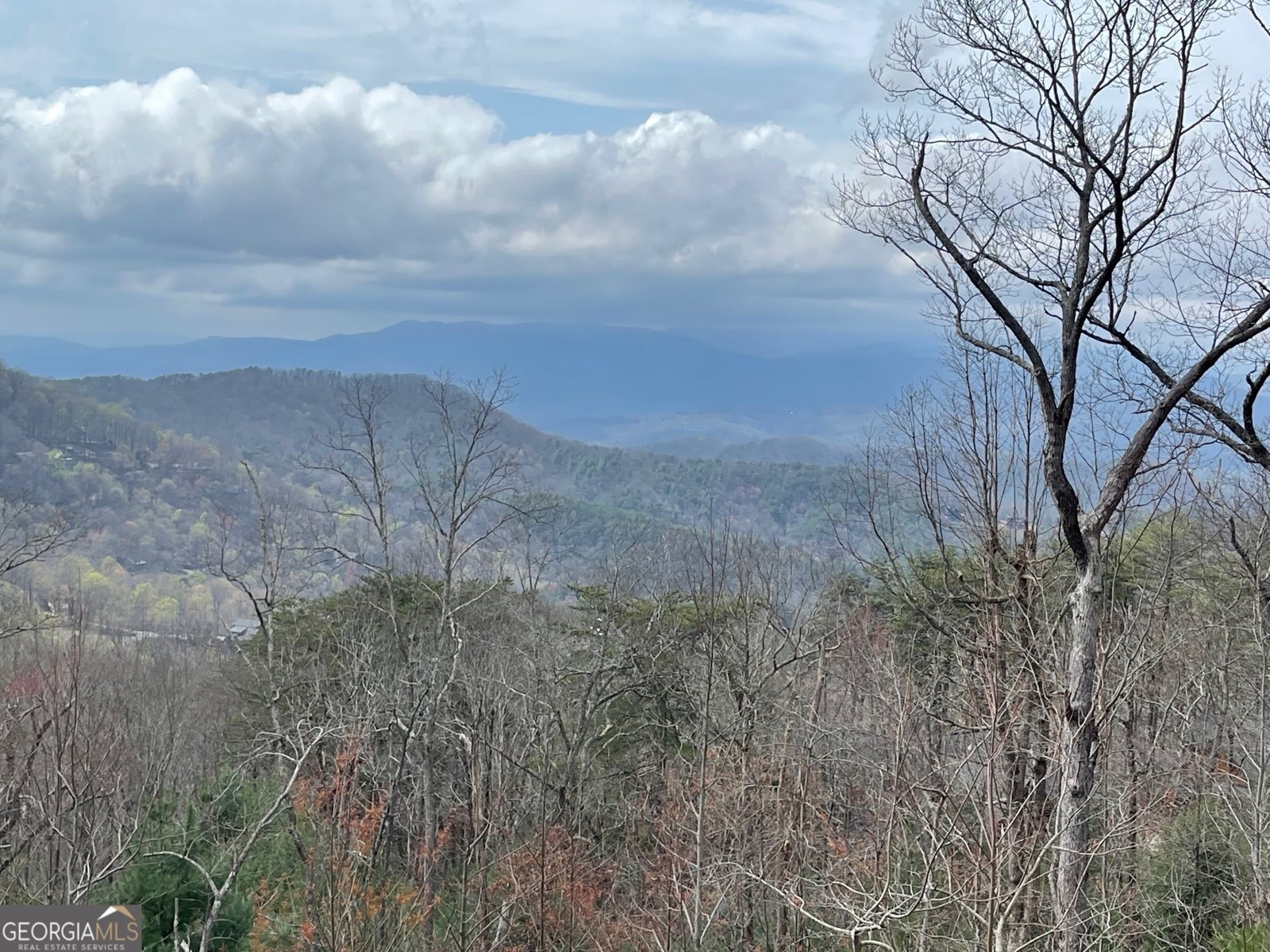 1329 Grandeur Drive Blue Ridge - 61