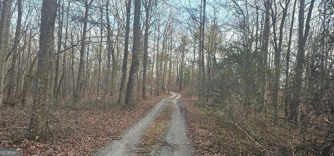 2566 U S 19 Highway Meansville - 68