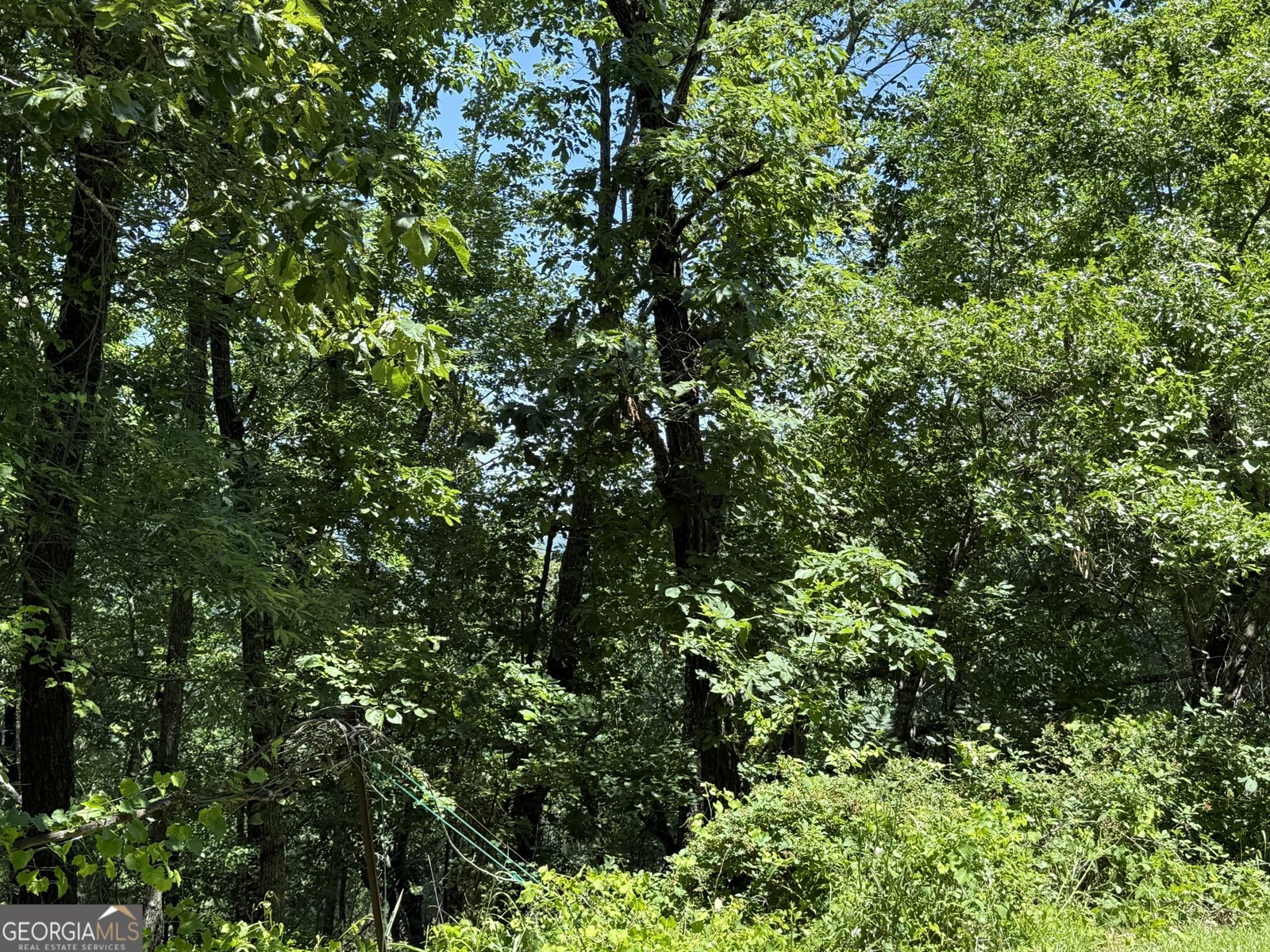 900 Mountain Ridge Drive Manchester - 79