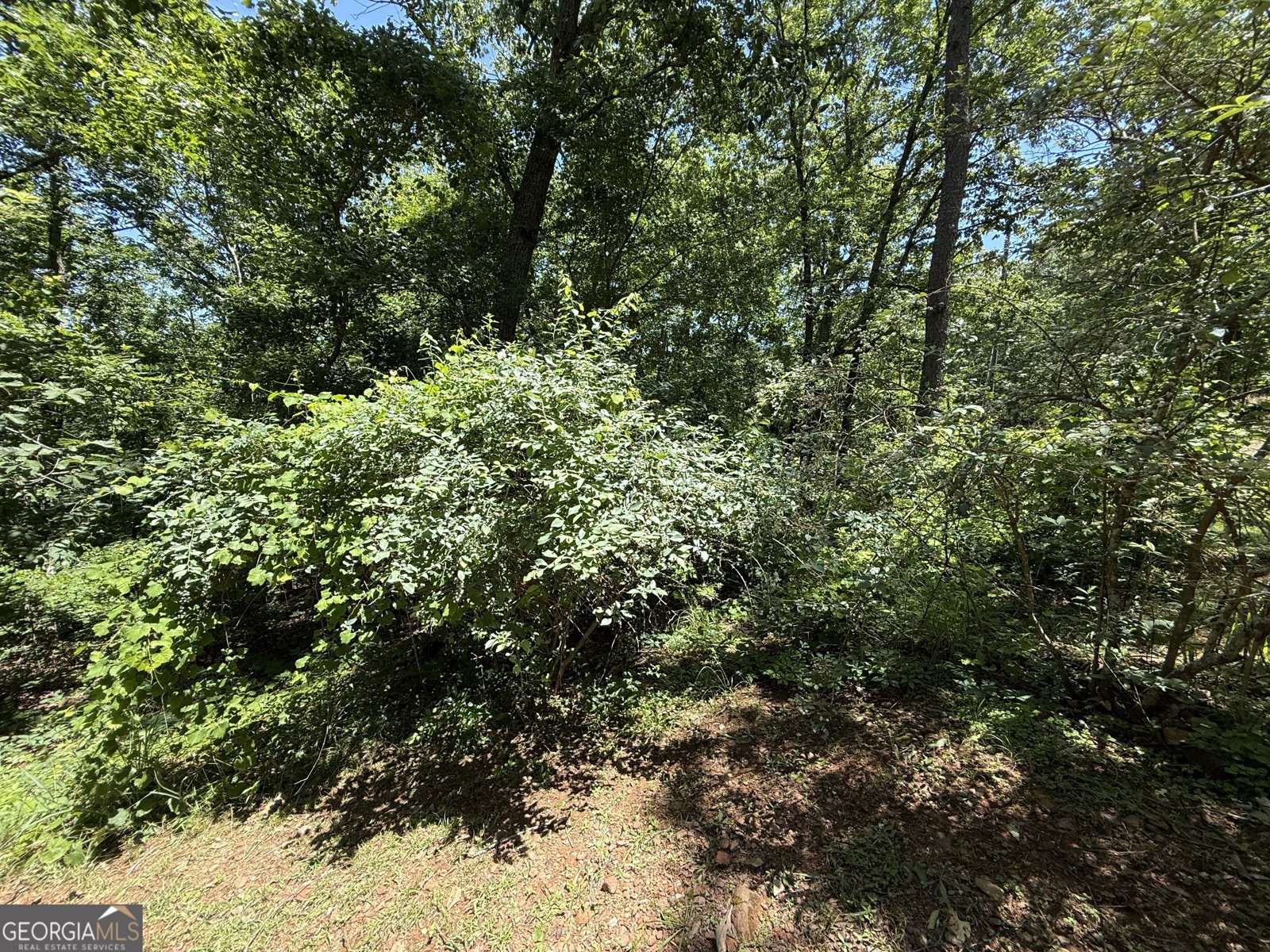 900 Mountain Ridge Drive Manchester - 81