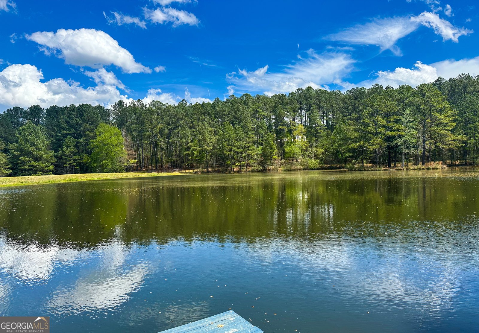 325 Brook Hollow Lane Loganville - 25
