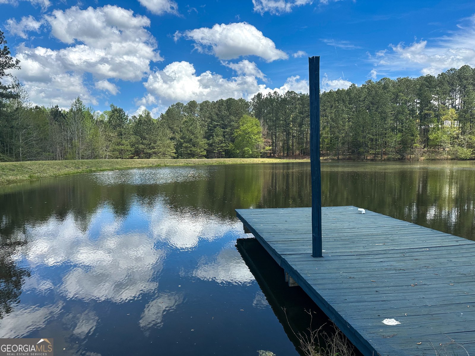 325 Brook Hollow Lane Loganville - 26
