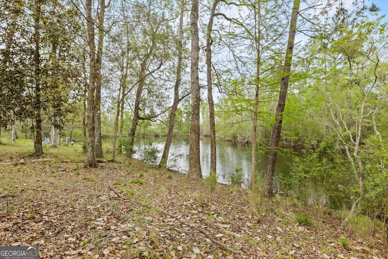 145 Old Post Office Loop Road Bainbridge - 39