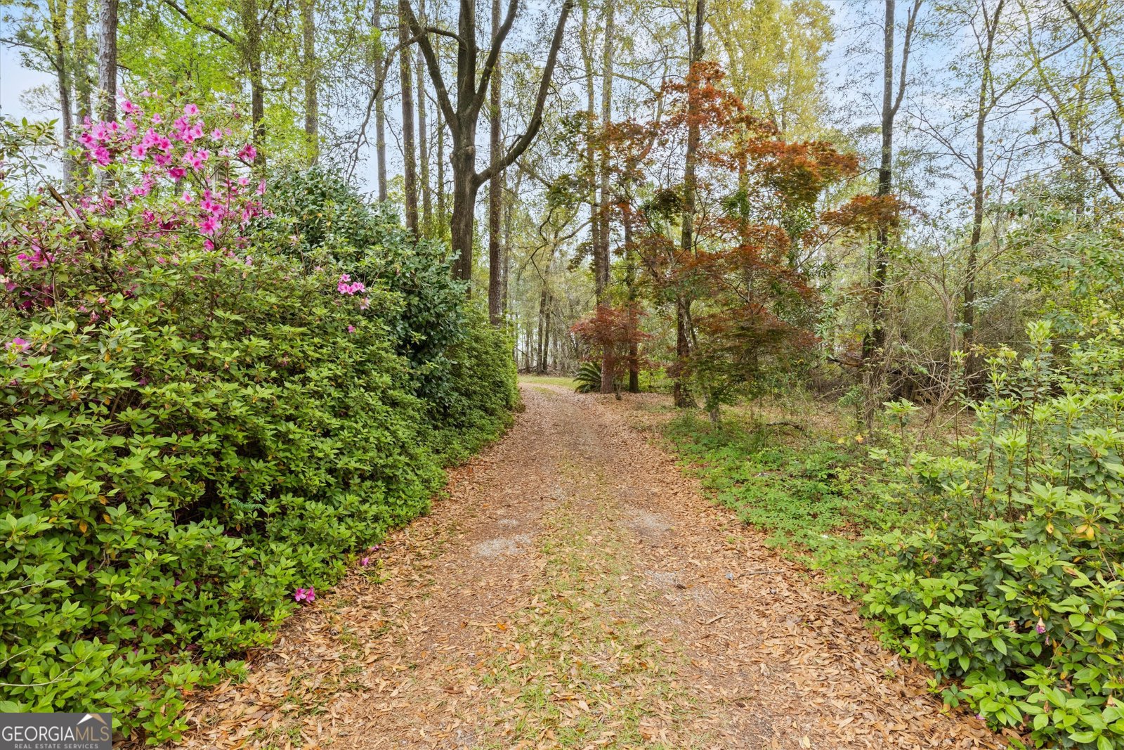 145 Old Post Office Loop Road Bainbridge - 44