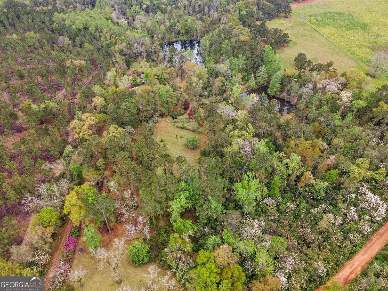 145 Old Post Office Loop Road Bainbridge - 47