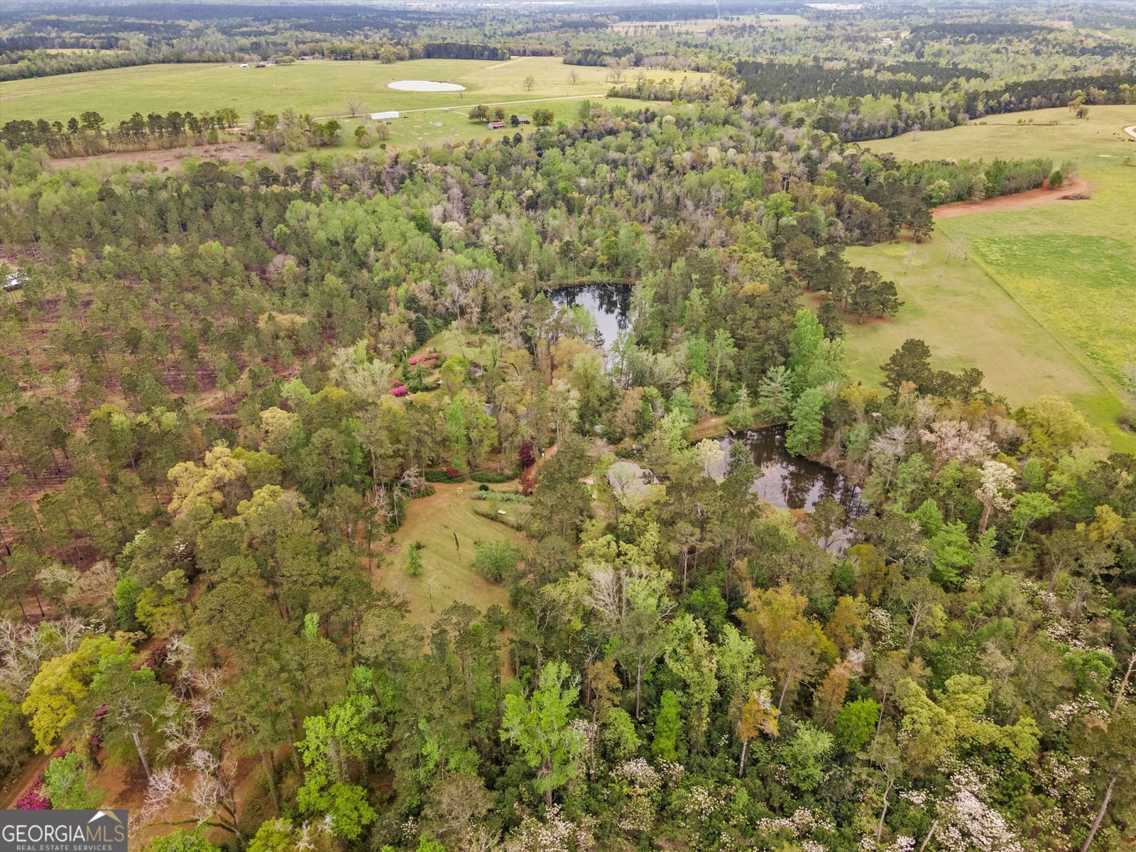 145 Old Post Office Loop Road Bainbridge - 48