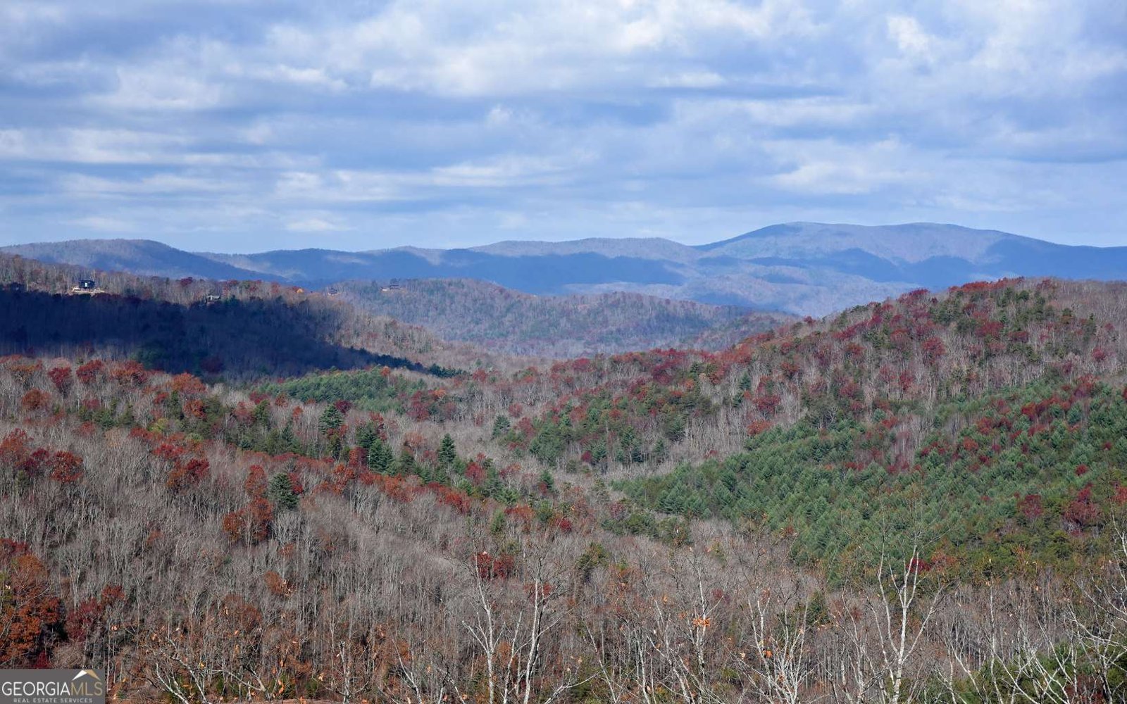 307 Heights Overlook Cherry Log - 34