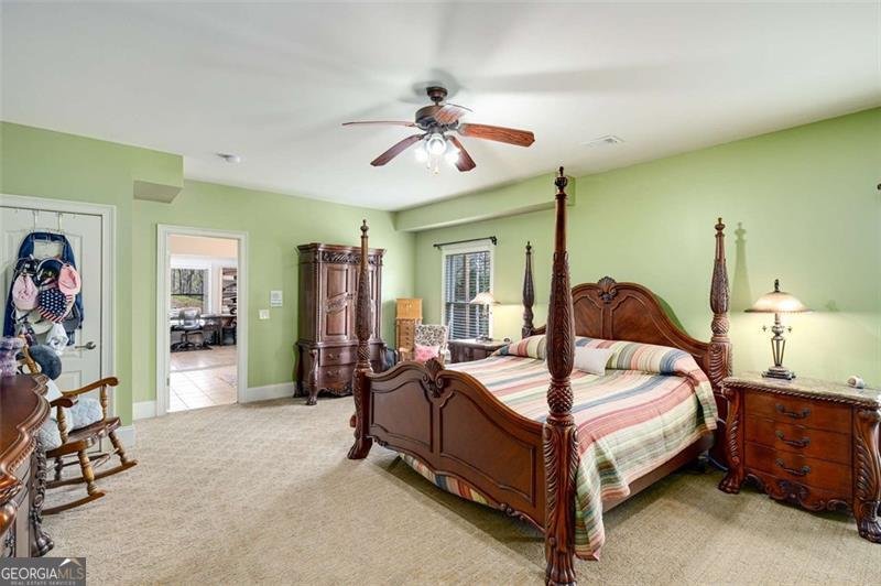251 PROSPECTOR Way Ball Ground - 39