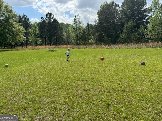 138 Simmons Dairy Road Cordele - 2