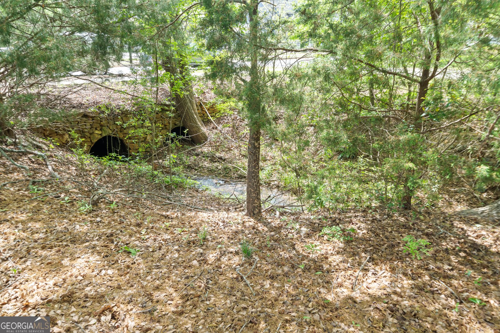 557 Village Road Madison - 44