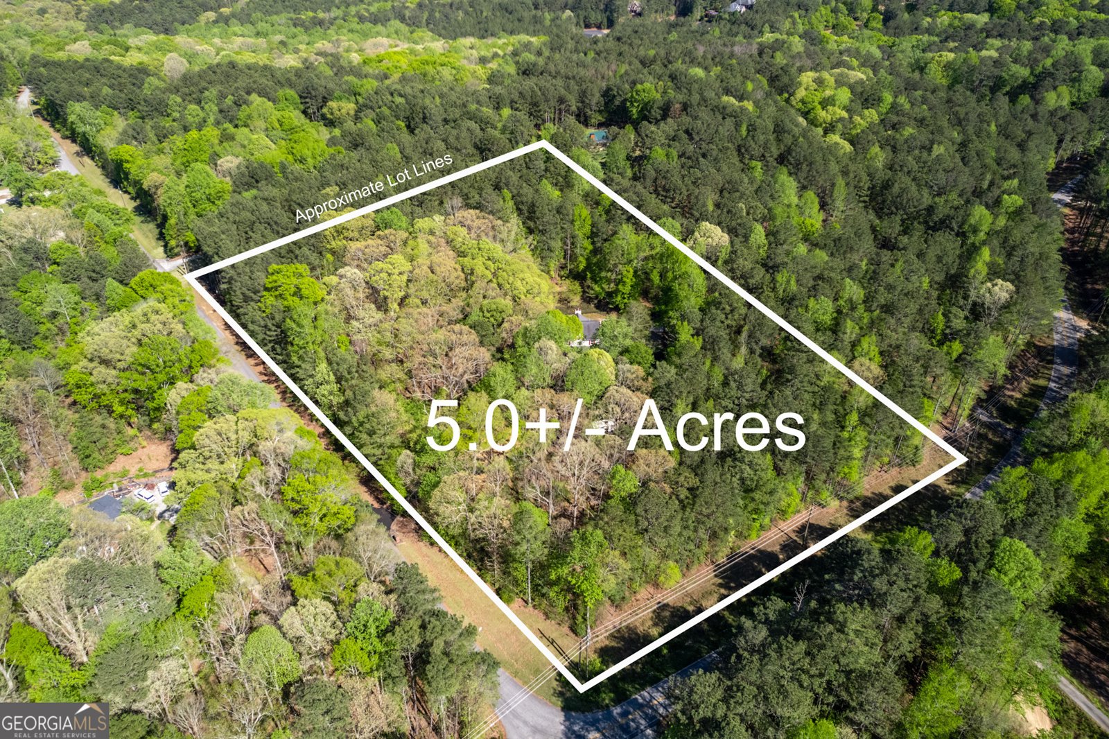 1660 Maple Ridge Drive Loganville - 4